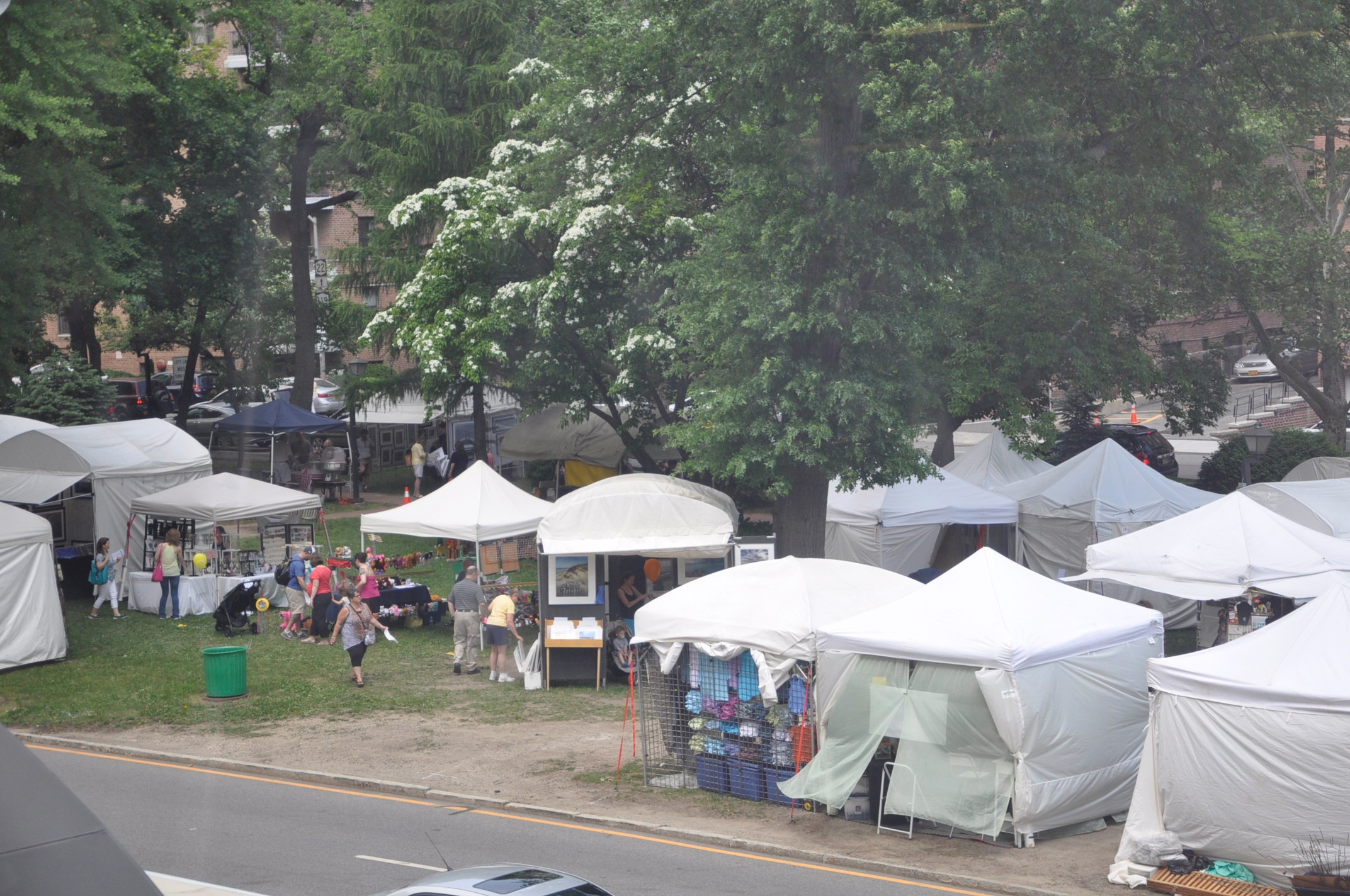 Art Show and more flags 009